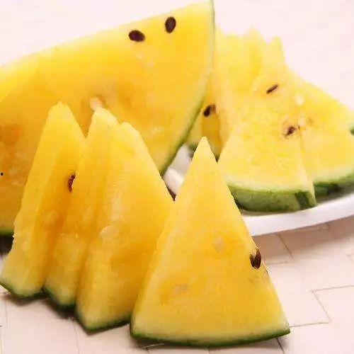 吃瓜爆料 91黑科网吃瓜在线,吃瓜爆料，在线追踪吃瓜热点